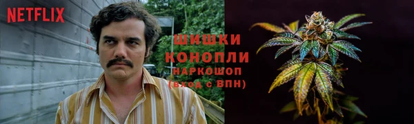 прущая мука Алзамай