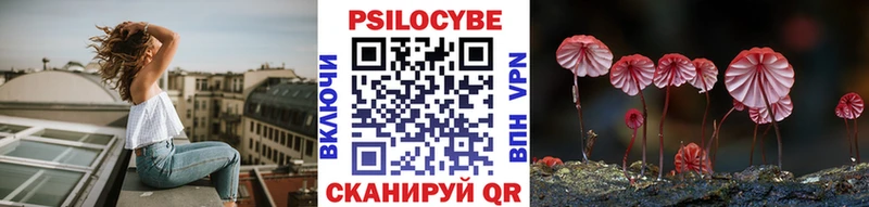 Галлюциногенные грибы MAGIC MUSHROOMS  Новокубанск 